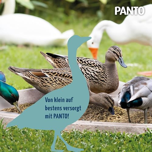 Panto WGK Wassergeflügelkorn, 1er Pack (1 x 25 kg) - 4