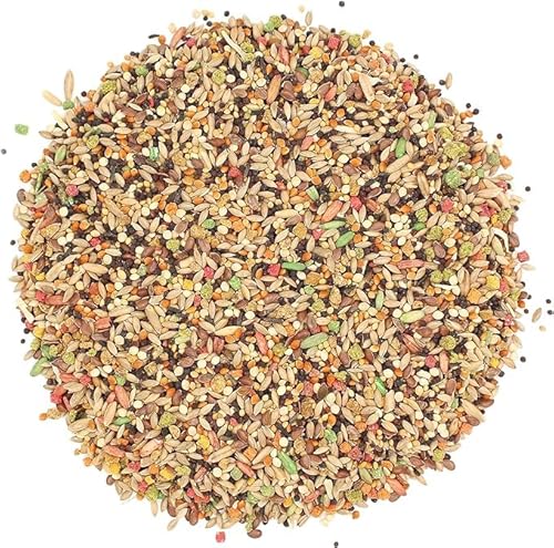 Versele Laga Vogelfutter für Kanarien 2,5 kg, 1er Pack (1 x 2.5 kg) - 2