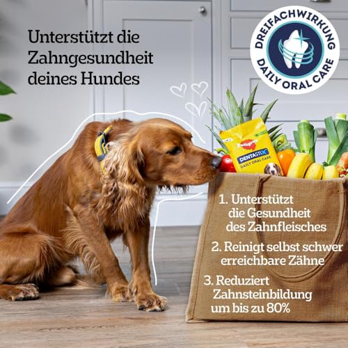 Pedigree DentaStix Hundesnack für kleine Hunde (5-10kg), Zahnpflege-Snack mit Huhn und Rind, 1 Packung je 56 Stück (1 x 880 g) - 2