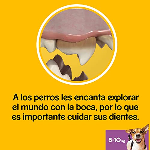 Pedigree DentaStix Hundesnack für kleine Hunde (5-10kg), Zahnpflege-Snack mit Huhn und Rind, 1 Packung je 56 Stück (1 x 880 g) - 3