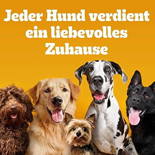 Pedigree DentaStix Hundesnack für große Hunde (25kg+), Zahnpflege-Snack mit Huhn und Rind, 1 Packung je 56 Stück (1 x 2.16 kg) - 12