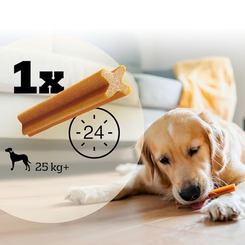 Pedigree DentaStix Hundesnack für große Hunde (25kg+), Zahnpflege-Snack mit Huhn und Rind, 1 Packung je 56 Stück (1 x 2.16 kg) - 9