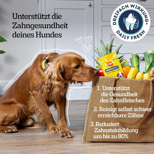 Pedigree DentaStix Fresh Hundesnack für große Hunde (25kg+), Zahnpflege-Snack mit Eukalyptusöl und Grüner Tee-Extrakt, 4 Packungen je 28 Stück (4 x 1,08 kg) - 3