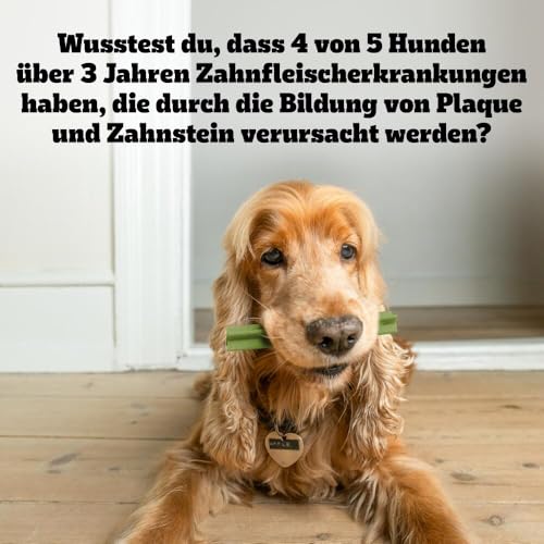 Pedigree DentaStix Fresh Hundesnack für große Hunde (25kg+), Zahnpflege-Snack mit Eukalyptusöl und Grüner Tee-Extrakt, 4 Packungen je 28 Stück (4 x 1,08 kg) - 10