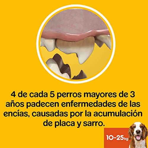 Pedigree DentaStix Fresh Hundesnack für mittelgroße Hunde (10-25kg), Zahnpflege-Snack mit Eukalyptusöl und Grüner Tee-Extrakt, 10 Packungen je 7 Stück (10 x 180 g) - 4