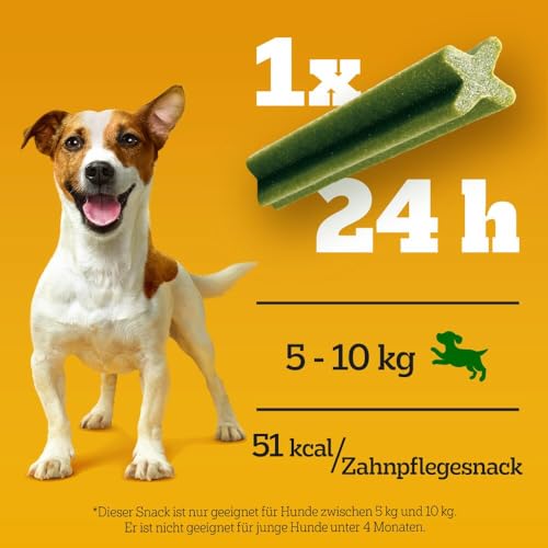 Pedigree DentaStix Fresh Hundesnack für kleine Hunde (5-10kg), Zahnpflege-Snack mit Eukalyptusöl und Grüner Tee-Extrakt, 4 Packungen je 28 Stück (4 x 440 g) - 5