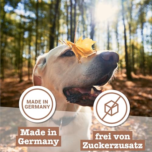 Chewies Hundeleckerli Multipack 2, 3 x 200 g Lamm Wild Lachs, 1er Pack (1 x 600 g) - 6