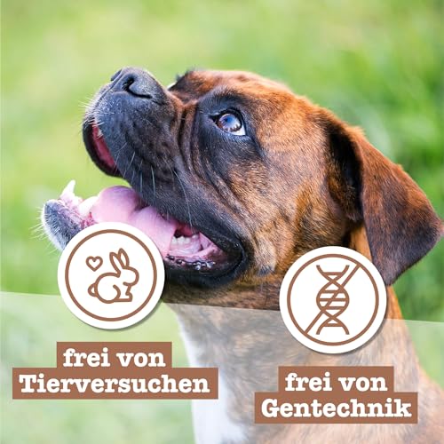 Chewies Hundeleckerli Multipack 2, 3 x 200 g Lamm Wild Lachs, 1er Pack (1 x 600 g) - 7