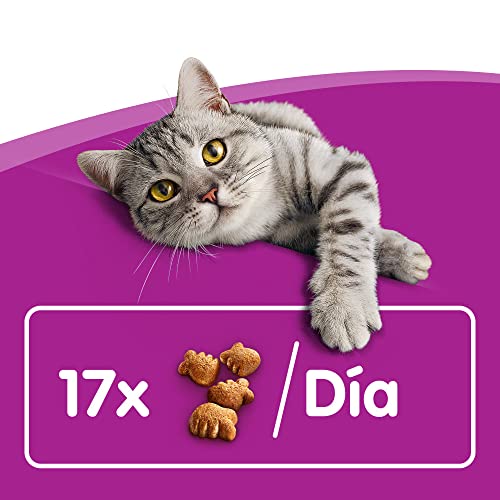 Whiskas Dentabites Katzensnack Huhn, 8 Packungen (8 x 40 g) - 11