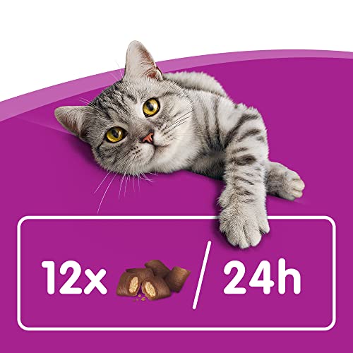 Whiskas Knuspertaschen Katzensnacks Rind, 8 Packungen (8 x 60 g) - 4