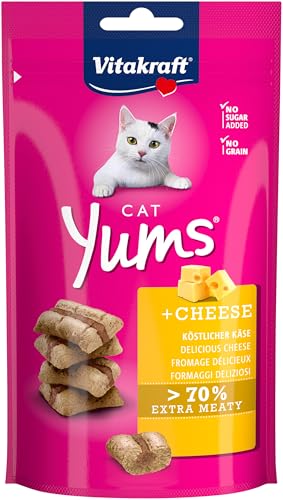Vitakraft Katzensnacks Cat Yums – Fleischige Happen mit Käse, 40 g