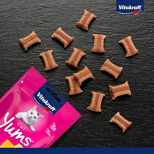 Vitakraft Katzensnacks, Fleischige Happen mit Käse, Cat Yums, 28821, 40 g - 3