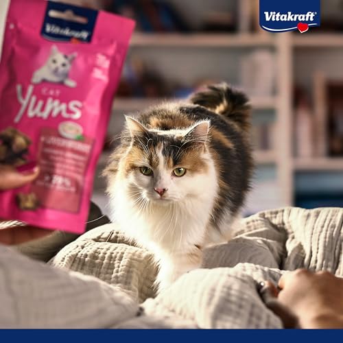 Vitakraft Katzensnacks, Fleischige Happen mit Käse, Cat Yums, 28821, 40 g - 7