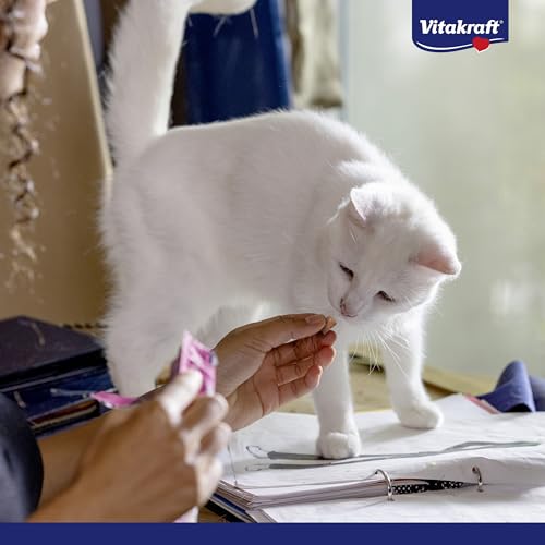 Vitakraft Katzensnacks, Knusprige Getreidekissen mit Malz, Cremige Füllung, Gegen Haarballen, Crispy Crunch, 28811, 60 g - 7