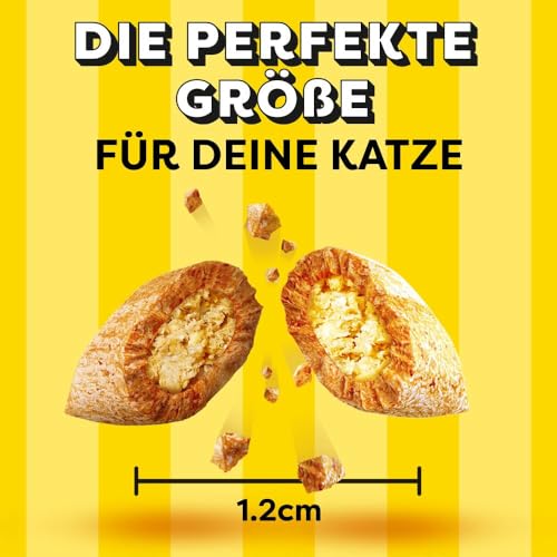 Dreamies Katzensnacks Mix mit Lachs und Käse, 6 Packungen (6 x 60 g) - 6