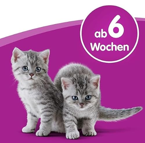 Whiskas Katzenmilch, 15 Packungen (15 x 200 ml) - 6