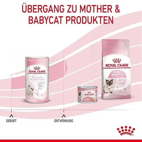 Royal Canin 55195 Babycat Milk 300g Pulver – Katzenfutter - 8