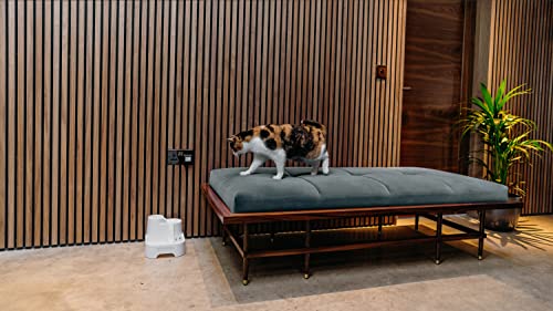 PetMate 80850 Cat Mate Trinkbrunnen – 2 L - 3