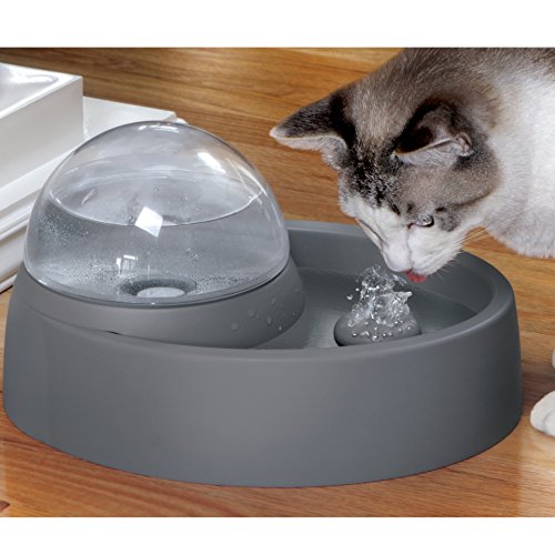 Eyenimal Brunnen für Katze und Hund - 6