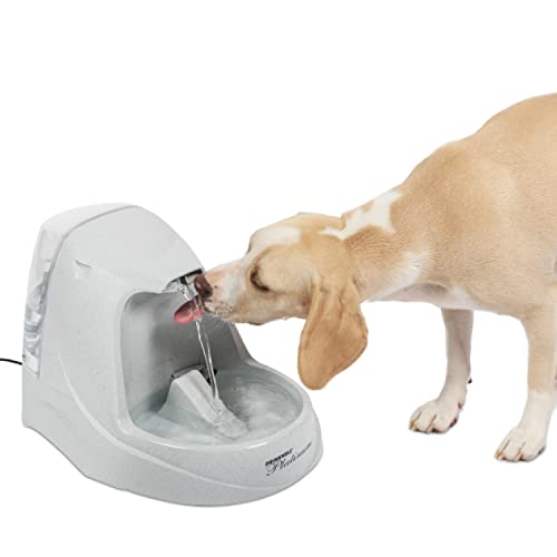 PetSafe Drinkwell Platinum Pet Fountain – 5 L