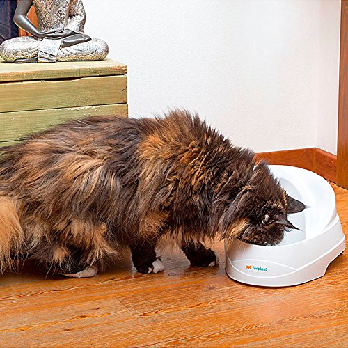 Ferplast 71300011 Katzen- und Hundetrinkbrunnen VEGA, Inhalt: 2 Liter, Maße: 23 x 29,5 x 16 cm - 4