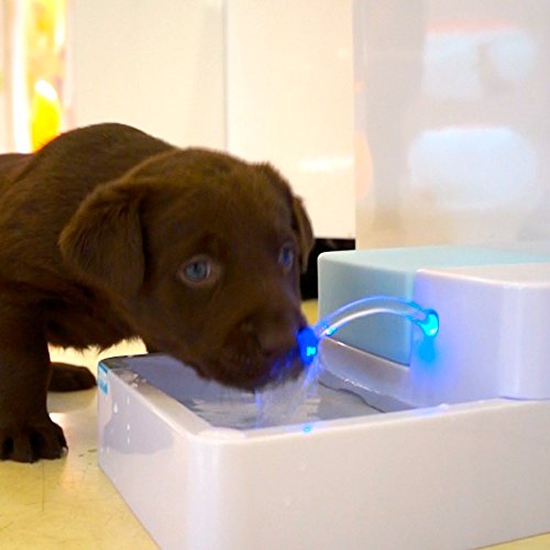 Hund Katze Trinkbrunnen Haustierbrunnen LED automatische Haustier-Wasser-Trinkbrunnen mit Kohlefilter und zirkulierenden Wasserspender UV-Desinfektion (LED+UV Desinfektion) - 2
