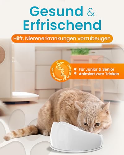 Lucky-Kitty Katzenbrunnen aus Keramik. Neue Farbe: Grau - 4