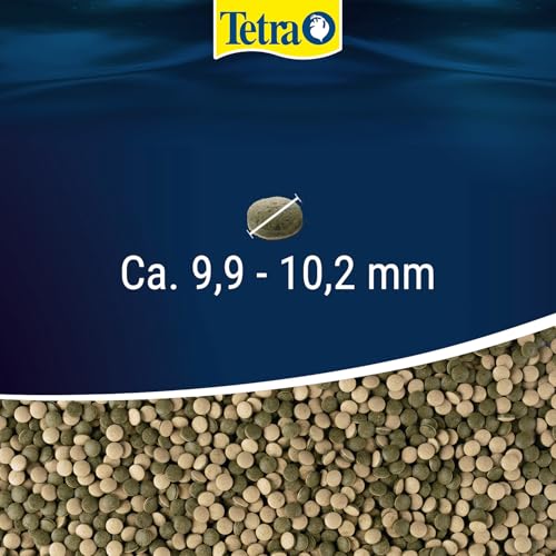 Tetra Pleco Tablets (Grünfutter-Tabletten mit einem hohen Anteil an Spirulina-Algen, Hauptfutter für alle pflanzenfressenden Bodenfische und scheuen Zierfische), 275 Tabletten Dose - 3