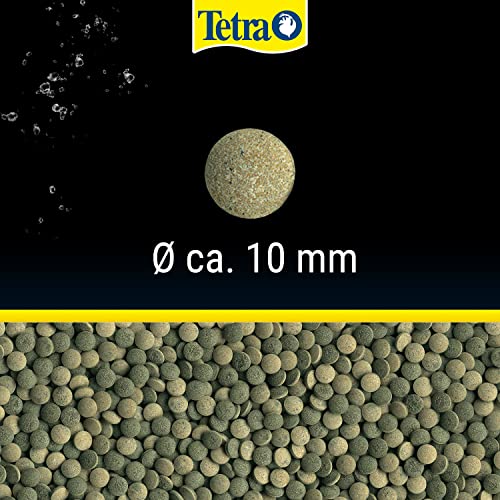 Tetra Pleco Tablets (Grünfutter-Tabletten mit einem hohen Anteil an Spirulina-Algen, Hauptfutter für alle pflanzenfressenden Bodenfische und scheuen Zierfische), 275 Tabletten Dose - 3