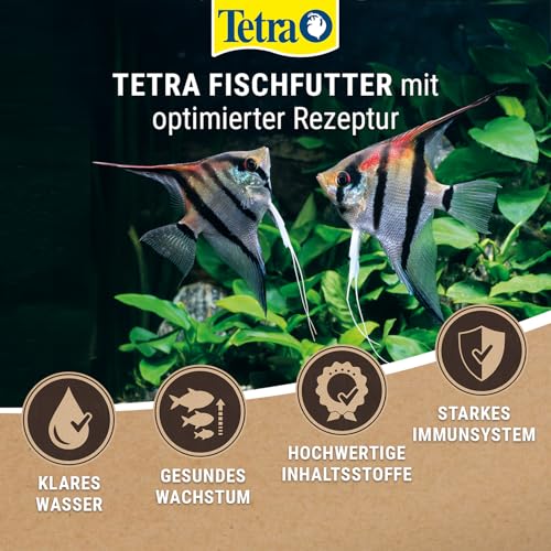 Tetra Pleco Tablets (Grünfutter-Tabletten mit einem hohen Anteil an Spirulina-Algen, Hauptfutter für alle pflanzenfressenden Bodenfische und scheuen Zierfische), 275 Tabletten Dose - 6