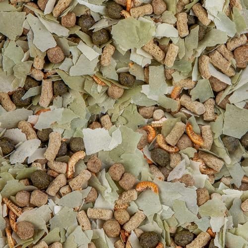 sera 07108 pond mix royal 21 l – Futtermischung aus Flocken, Sticks und mit 7 % Gammarus als Leckerbissen für alle Teichfische - 4