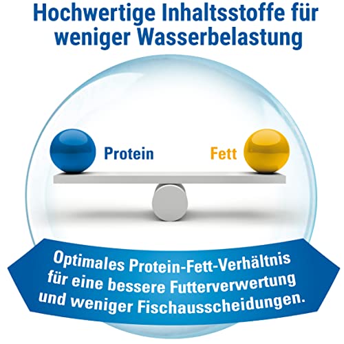 TetraMin (Hauptfutter für alle Zierfische in Flockenform, für ein langes und gesundes Fischleben und klares Wasser, plus Präbiotika für verbesserte Körperfunktionen und Futterverwertung), 500 ml Dose - 7