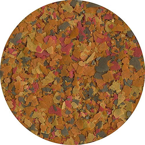 TetraRubin Hauptfutter (für Zierfische, für intensive Farbenpracht mit natürlichen Farbverstärkern, plus Präbiotika für verbesserte Körperfunktionen und Futterverwertung), 100 ml Dose - 3