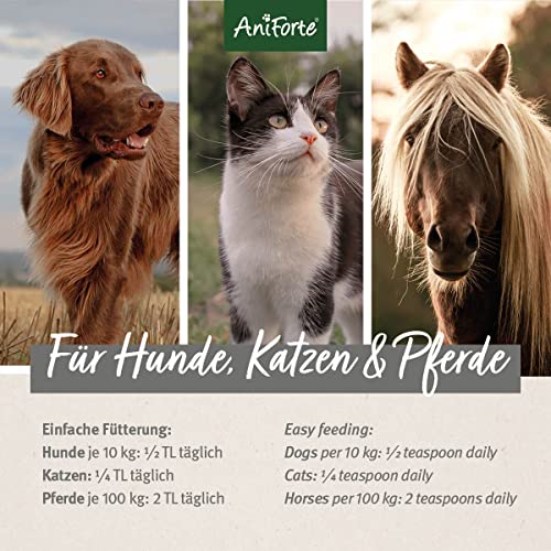 AniForte kaltgepresstes Leinöl 1 Liter- Naturprodukt für Hunde, Katzen & Pferde - 6