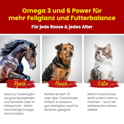 Leinöl 3 x 5 Liter = 15 Liter – garantierte Erstpressung, immer frische Ware, versandkostenfrei! - 6