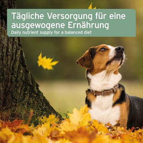 AniForte Barf-Öl Set 2 mit je 500ml Leinöl und Lachsöl – Naturprodukt für Hunde und Katzen - 4