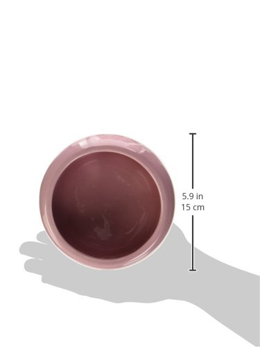 Living World 61685 ergonomischer Keramiknapf für Kleintiere, pink, groß - 4