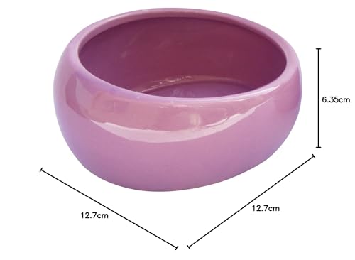 Living World 61685 ergonomischer Keramiknapf für Kleintiere, pink, groß - 5