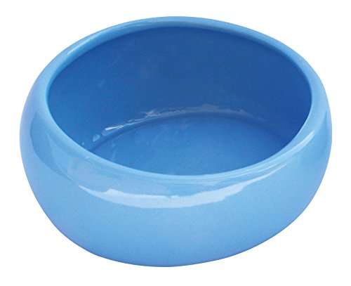 Living World ergonomischer Keramiknapf – Blau, groß