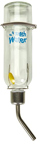 Nobby Glas Trinkflasche