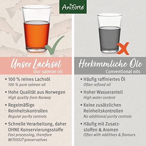 Aniforte Omega 3-Lachsöl 1 Liter- Naturprodukt für Hunde, Katzen und Pferde - 4