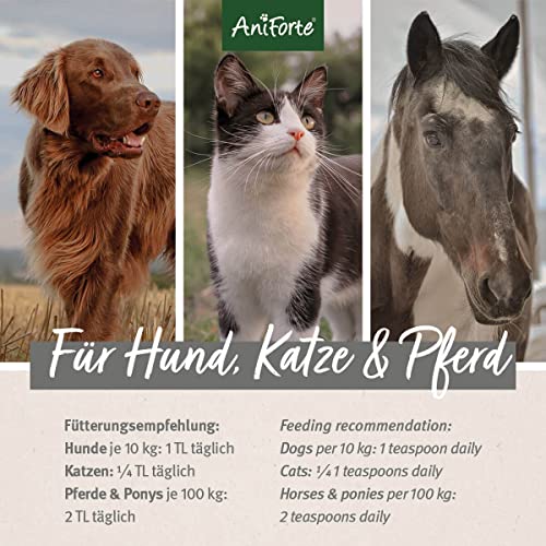 Aniforte Omega 3-Lachsöl 1 Liter- Naturprodukt für Hunde, Katzen und Pferde - 7