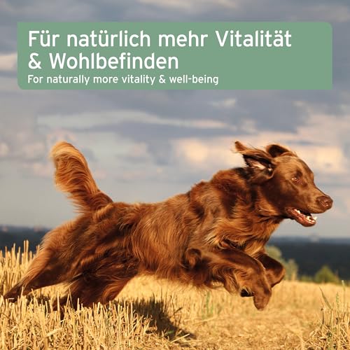 AniForte Omega 3-Lachsöl 5 Liter Kanister – Naturprodukt für Hunde und Pferde - 7