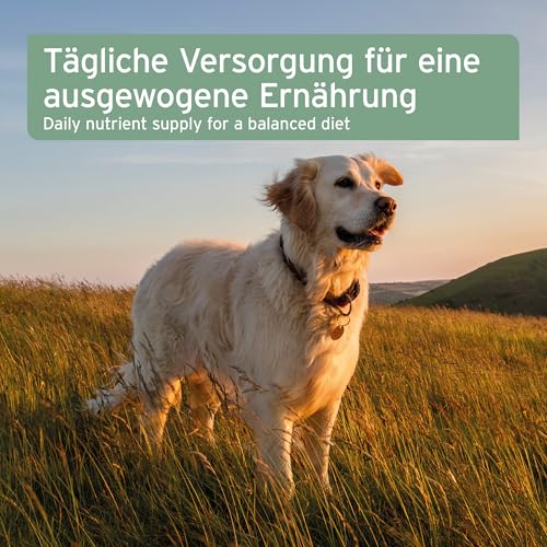 AniForte kaltgepresstes Hanföl 1 Liter- Naturprodukt für Hunde, Katzen und Pferde - 7