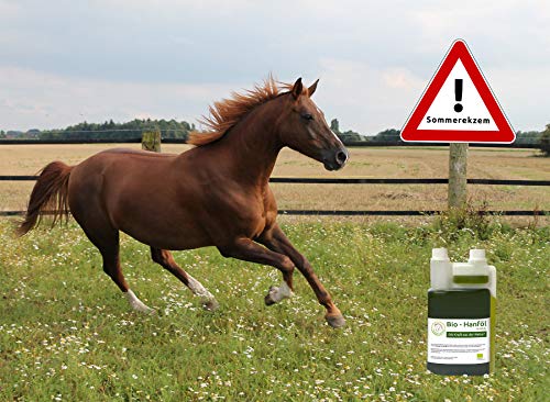 Bio Hanföl (1 Liter) als Futtermittelzusatz für Pferde - 2