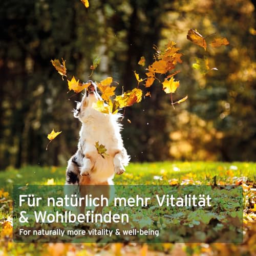 AniForte Omega 3- Lachsöl Kapseln 200 Stk. – Naturprodukt für Hunde und Katzen - 6