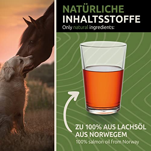 NaturaForte® 5 Liter echtes Lachsöl in 1a Premiumqualität, kein minderwertigeres Fischöl oder Fischlachsöl, sehr frische Abfüllung, für Hunde & Pferde - 2
