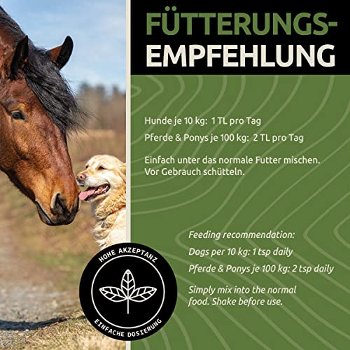 NaturaForte® 5 Liter echtes Lachsöl in 1a Premiumqualität, kein minderwertigeres Fischöl oder Fischlachsöl, sehr frische Abfüllung, für Hunde & Pferde - 4