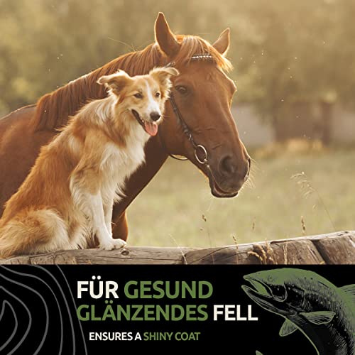 NaturaForte® 5 Liter echtes Lachsöl in 1a Premiumqualität, kein minderwertigeres Fischöl oder Fischlachsöl, sehr frische Abfüllung, für Hunde & Pferde - 5