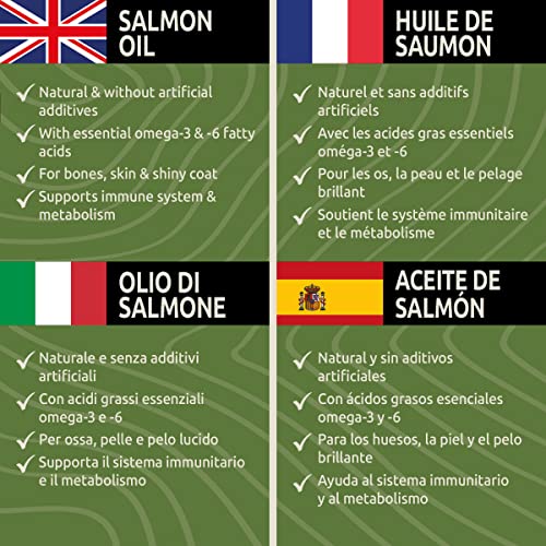 NaturaForte® 5 Liter echtes Lachsöl in 1a Premiumqualität, kein minderwertigeres Fischöl oder Fischlachsöl, sehr frische Abfüllung, für Hunde & Pferde - 7
